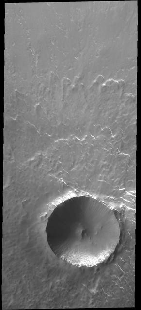 This image from NASA 2001 Mars Odyssey spacecraft shows Lonar Crater. This is a fairly pristine crater, with a steep slope on the interior of the rim and little to no deposition of material on the floor.