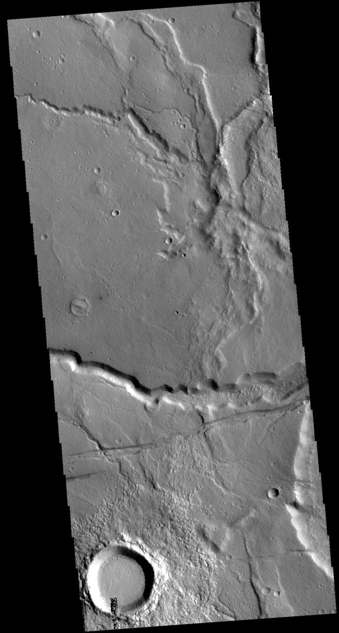 This image from NASA 2001 Mars Odyssey spacecraft is located on the margin of Tempe Terra near Chryse Planitia. Several channels are visible as well as tectonic features.