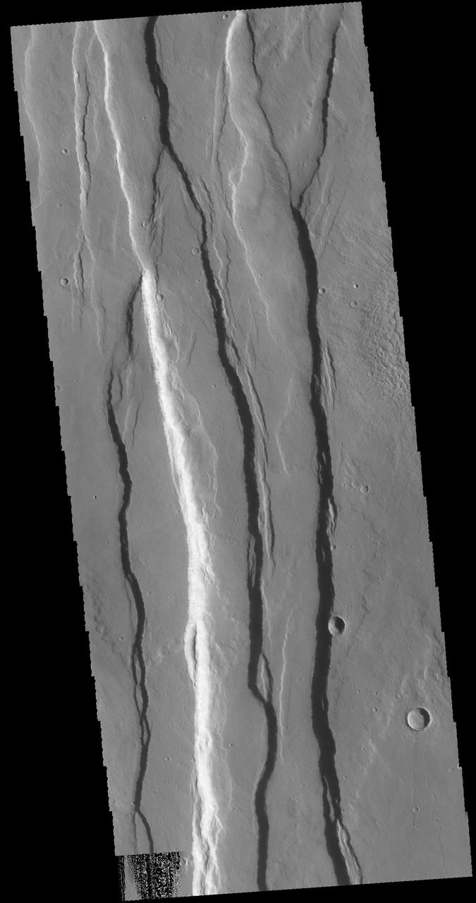 This image captured by NASA 2001 Mars Odyssey spacecraft shows several of the graben that make up Ceraunius Fossae.