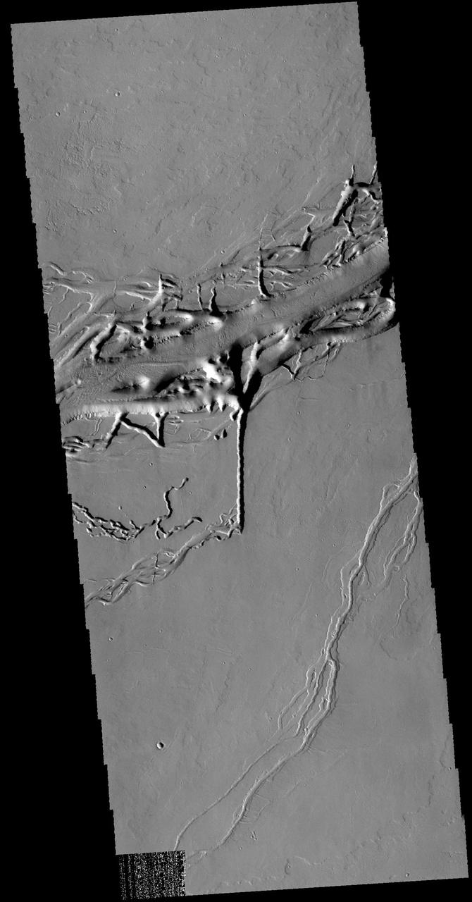 This image from NASA 2001 Mars Odyssey spacecraft shows a different part of Olympica Fossae. In this region lava channels dominate. The complex interaction of volcanic and tectonic processes is illustrated by the central feature in this image.