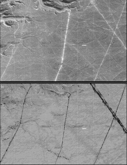 NASA image: Disturbance on Dirt Roads Crossing Peru Nasca World Heritage Site seen by NASA UAVSAR