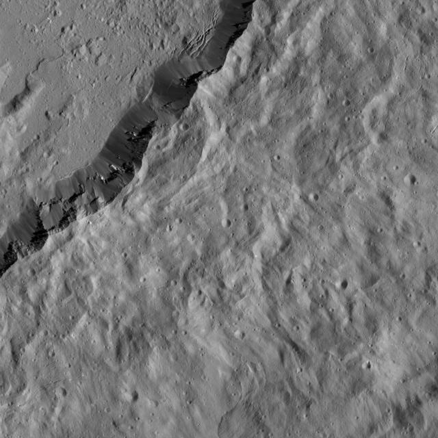 This image, taken by NASA Dawn spacecraft, shows the southeastern rim of Occator Crater. Compacted material forms spurs along the crater wall. A group of roughly parallel, braided fractures can be seen on the crater floor at top center.