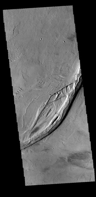 This image captured by NASA 2001 Mars Odyssey spacecraft shows both linear and sinuous channel forms.