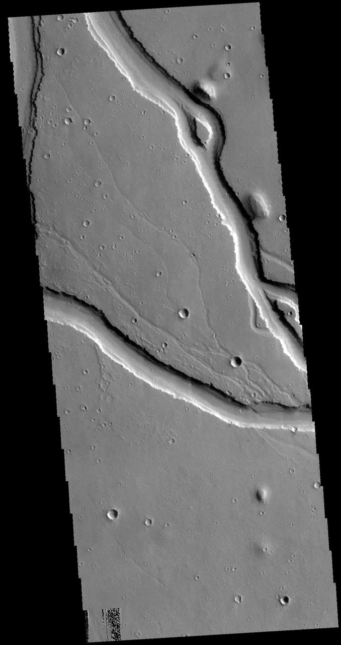 The channels in this image captured by NASA 2001 Mars Odyssey spacecraft are part of Hebrus Valles.