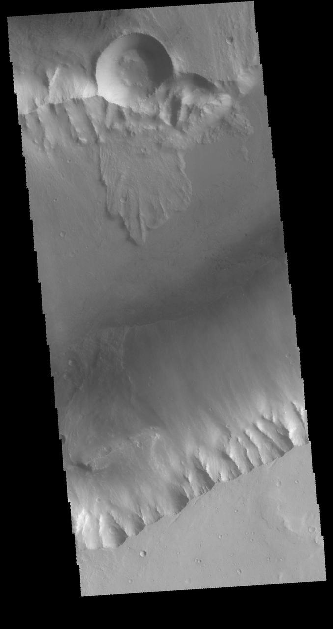 This image from NASA 2001 Mars Odyssey spacecraft shows a small portion of Kasei Valles. The channel rim at the top of the image shows a complex series of processes.