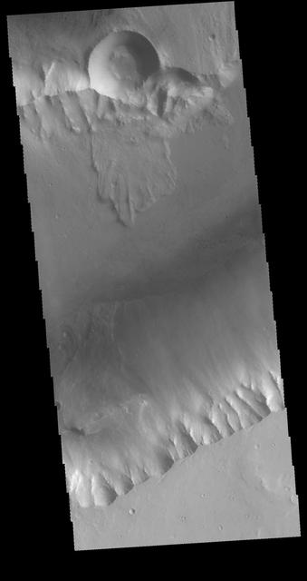 NASA image: Kasei Valles