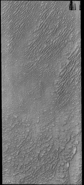 This image captured by NASA 2001 Mars Odyssey spacecraft shows part of Siton Undae, a dune field located near Escorial Crater and the north polar cap.