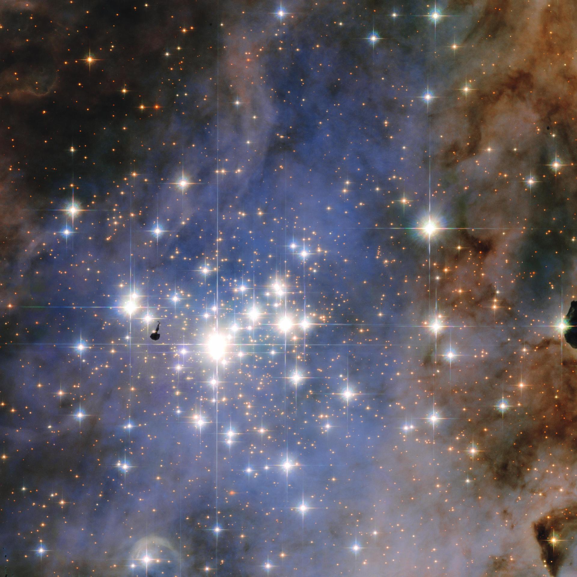 Resembling an opulent diamond tapestry, this image from NASA Hubble Space Telescope shows a glittering star cluster that contains a collection of some of the brightest stars seen in our Milky Way galaxy called Trumpler 14.