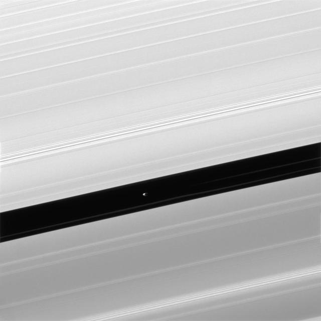 Pan and moons like it have profound effects on Saturn's rings. The effects can range from clearing gaps, to creating new ringlets, to raising vertical waves that rise above and below the ring plane. All of these effects, produced by gravity, are seen in this image.  Pan (17 miles or 28 kilometers across), seen in image center, maintains the Encke Gap in which it orbits, but it also helps create and shape the narrow ringlets that appear in the Encke gap. Two faint ringlets are visible in this image, below and to the right of Pan.  Many moons, Pan included, create waves at distant points in Saturn's rings where ring particles and the moons have orbital resonances. Many such waves are visible here as narrow groupings of brighter and darker bands. Studying these waves can provide information on local ring conditions.  The view looks toward the unilluminated side of the rings from about 22 degrees below the ring plane. The image was taken in visible light with the Cassini spacecraft narrow-angle camera on April 3, 2016.  The view was obtained at a distance of approximately 232,000 miles (373,000 kilometers) from Saturn and at a Sun-Saturn-spacecraft, or phase, angle of 140 degrees. Image scale is 1.2 miles (2 kilometers) per pixel.  http://photojournal.jpl.nasa.gov/catalog/PIA20490