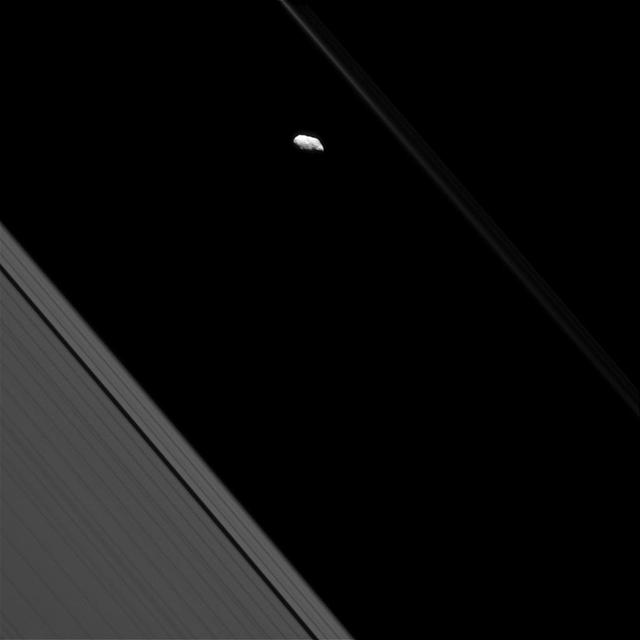 Surface features are visible on Saturn's moon Prometheus in this view from NASA's Cassini spacecraft. Most of Cassini's images of Prometheus are too distant to resolve individual craters, making views like this a rare treat. Saturn's narrow F ring, which makes a diagonal line beginning at top center, appears bright and bold in some Cassini views, but not here. Since the sun is nearly behind Cassini in this image, most of the light hitting the F ring is being scattered away from the camera, making it appear dim. Light-scattering behavior like this is typical of rings comprised of small particles, such as the F ring. This view looks toward the unilluminated side of the rings from about 14 degrees below the ring plane. The image was taken in visible light with the Cassini spacecraft narrow-angle camera on Sept. 24, 2016. The view was acquired at a distance of approximately 226,000 miles (364,000 kilometers) from Prometheus and at a sun-Prometheus-spacecraft, or phase, angle of 51 degrees. Image scale is 1.2 miles (2 kilometers) per pixel. http://photojournal.jpl.nasa.gov/catalog/PIA20508