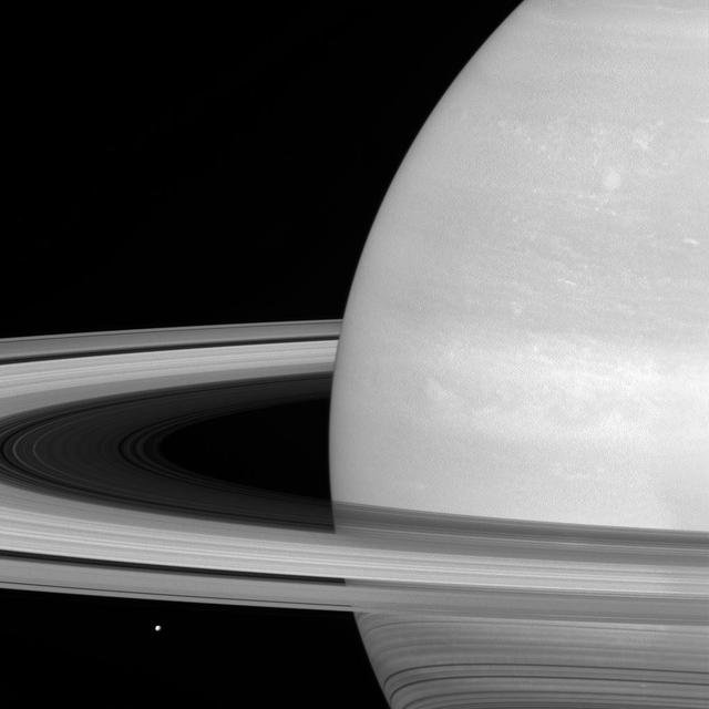 Saturn's icy moon Mimas is dwarfed by the planet's enormous rings.  Because Mimas (near lower left) appears tiny by comparison, it might seem that the rings would be far more massive, but this is not the case. Scientists think the rings are no more than a few times as massive as Mimas, or perhaps just a fraction of Mimas' mass. Cassini is expected to determine the mass of Saturn's rings to within just a few hundredths of Mimas' mass as the mission winds down by tracking radio signals from the spacecraft as it flies close to the rings.  The rings, which are made of small, icy particles spread over a vast area, are extremely thin -- generally no thicker than the height of a house. Thus, despite their giant proportions, the rings contain a surprisingly small amount of material.  Mimas is 246 miles (396 kilometers) wide.  This view looks toward the sunlit side of the rings from about 6 degrees above the ring plane. The image was taken in red light with the Cassini spacecraft wide-angle camera on July 21, 2016.  The view was obtained at a distance of approximately 564,000 miles (907,000 kilometers) from Saturn and at a Sun-Saturn-spacecraft, or phase, angle of 31 degrees. Image scale is 34 miles (54 kilometers) per pixel.   http://photojournal.jpl.nasa.gov/catalog/PIA20509