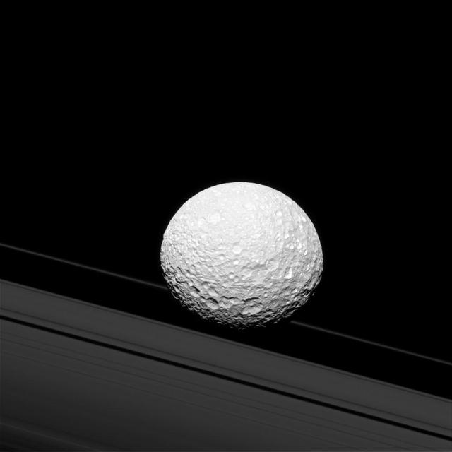 It may look as though Saturn's moon Mimas is crashing through the rings in this image taken by NASA's Cassini spacecraft, but Mimas is actually 28,000 miles (45,000 kilometers) away from the rings. There is a strong connection between the icy moon and Saturn's rings, though. Gravity links them together and shapes the way they both move.  The gravitational pull of Mimas (246 miles or 396 kilometers across) creates waves in Saturn's rings that are visible in some Cassini images. Mimas' gravity also helps create the Cassini Division (not pictured here), which separates the A and B rings.  This view looks toward the anti-Saturn hemisphere of Mimas. North on Mimas is up and rotated 15 degrees to the right. The image was taken in green light with the Cassini spacecraft narrow-angle camera on Oct. 23, 2016.  The view was acquired at a distance of approximately 114,000 miles (183,000 kilometers) from Mimas and at a Sun-Mimas-spacecraft, or phase, angle of 29 degrees. Image scale is 3,300 feet (1 kilometer) per pixel.  http://photojournal.jpl.nasa.gov/catalog/PIA20510