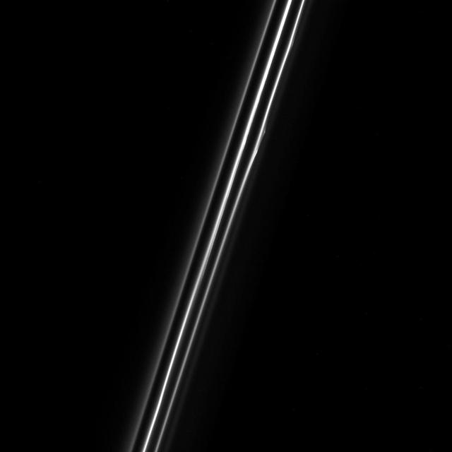 When seen up close, the F ring of Saturn resolves into multiple dusty strands. This Cassini view shows three bright strands and a very faint fourth strand off to the right. The central strand is the core of the F ring. The other strands are not independent at all, but are actually sections of long spirals of material that wrap around Saturn. The material in the spirals was likely knocked out from the F ring's core during interactions with a small moon. This view looks toward the unilluminated side of the rings from about 38 degrees above the ring plane. The image was taken in visible light with the Cassini spacecraft narrow-angle camera on Dec. 18, 2016. The view was acquired at a distance of approximately 122,000 miles (197,000 kilometers) from Saturn and at a Sun-Ring-spacecraft, or phase, angle of 47 degrees. Image scale is 0.7 miles (1.2 kilometers) per pixel. http://photojournal.jpl.nasa.gov/catalog/PIA20519