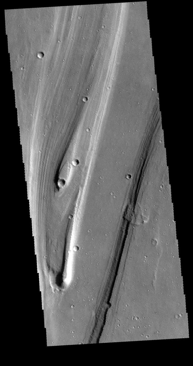 This image captured by NASA 2001 Mars Odyssey spacecraft shows a small portion of Shalbatana Vallis, near the end of the channel where it drains into Chryse Planitia.