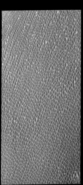 This image captured by NASA 2001 Mars Odyssey spacecraft shows a small portion of Olympia Undae.