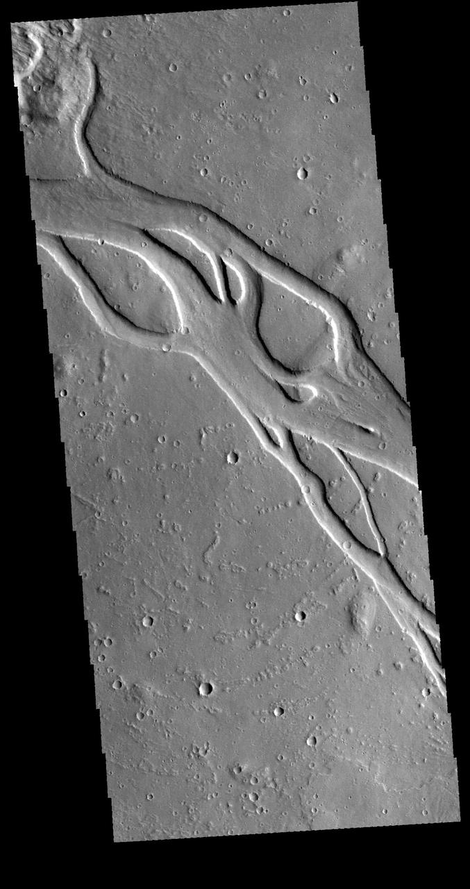 This image captured by NASA 2001 Mars Odyssey spacecraft shows a portion of Hebrus Valles.