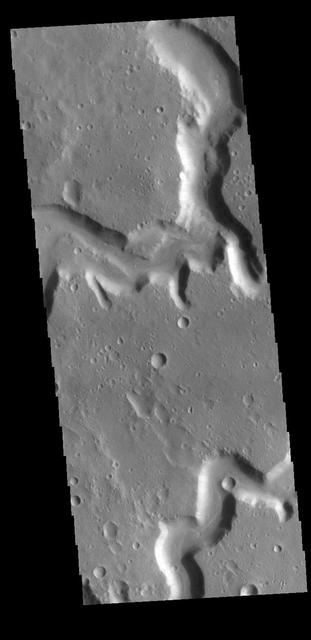 This image captured by NASA 2001 Mars Odyssey spacecraft shows both branches of Nanedi Valles, close to the point where they join to form a single channel.