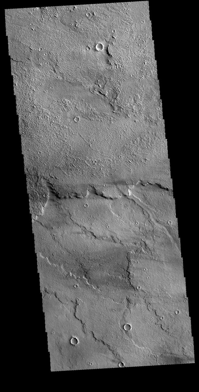 This image captured by NASA 2001 Mars Odyssey spacecraft shows a small portion of Daedalia Planum.