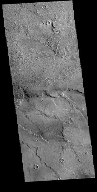NASA image: Daedalia Planum
