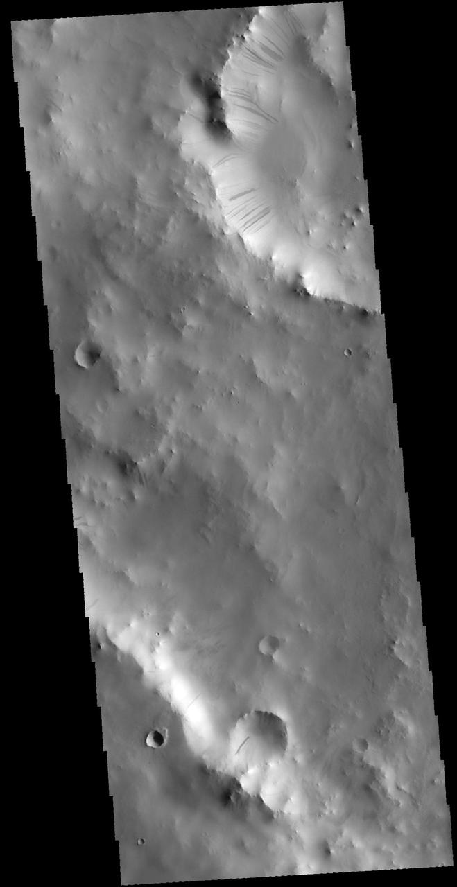 This image captured by NASA 2001 Mars Odyssey spacecraft shows a portion of two unnamed craters in Terra Sabaea.