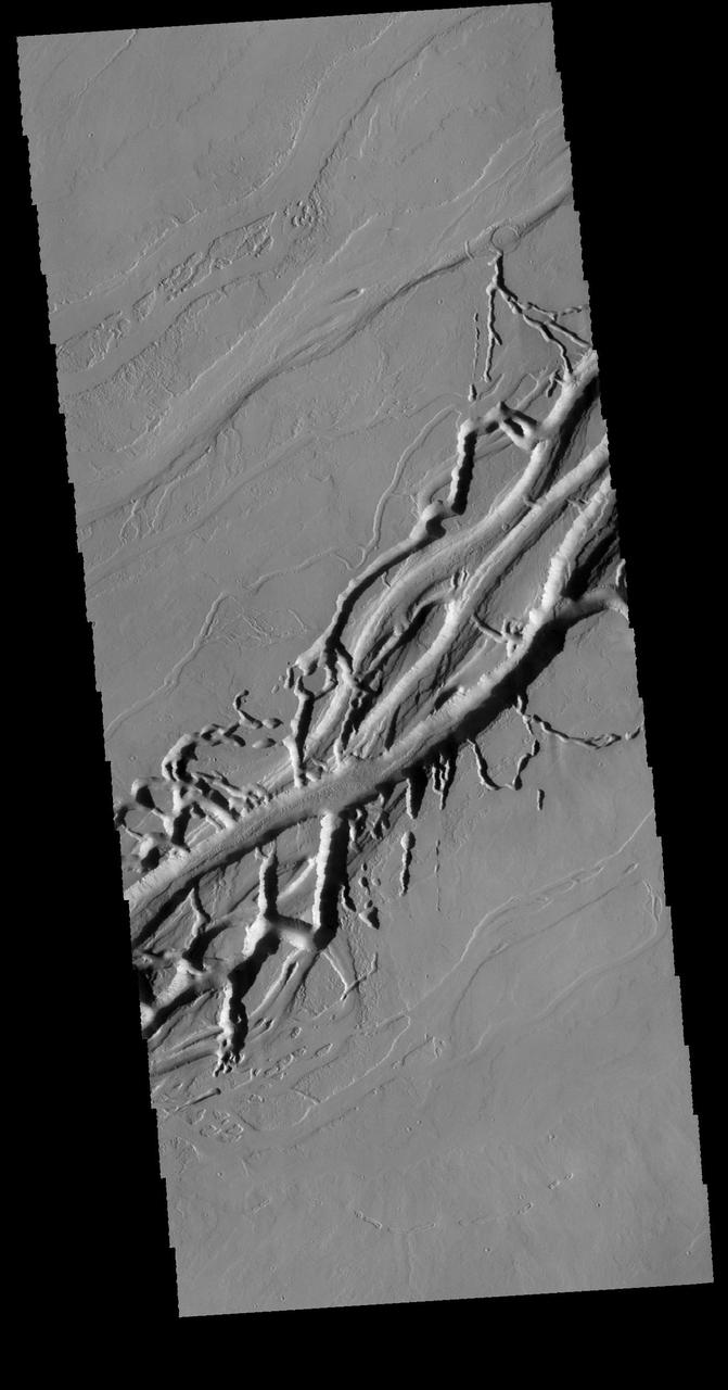 Located on the extensive lava plains between Olympus Mons and Alba Mons, this image from NASA 2001 Mars Odyssey spacecraft shows complex intersecting valleys, which were created by lava flow. Volcanic flows occurred both along the surface and in buried lava tubes. Orbit Number: 63962 Latitude: 24.4677 Longitude: 245.235 Instrument: VIS Captured: 2016-05-15 10:43 http://photojournal.jpl.nasa.gov/catalog/PIA20782