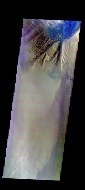The THEMIS camera contains 5 filters. The data from different filters can be combined in multiple ways to create a false color image. This image from NASA 2001 Mars Odyssey spacecraft shows the northern tip of Baetis Mensa. The THEMIS camera contains 5 filters. The data from different filters can be combined in multiple ways to create a false color image. These false color images may reveal subtle variations of the surface not easily identified in a single band image. Today's false color image shows the northern tip of Baetis Mensa. In false color images dark blue is often basaltic sands. In this image it is possible to trace the sands from the erosion of Beatis Mensa moving down the canyon gullies to the floor of Ophir Chasma. Orbit Number: 42247 Latitude: -4.17728 Longitude: 287.975 Instrument: VIS Captured: 2011-06-23 21:11 http://photojournal.jpl.nasa.gov/catalog/PIA20792