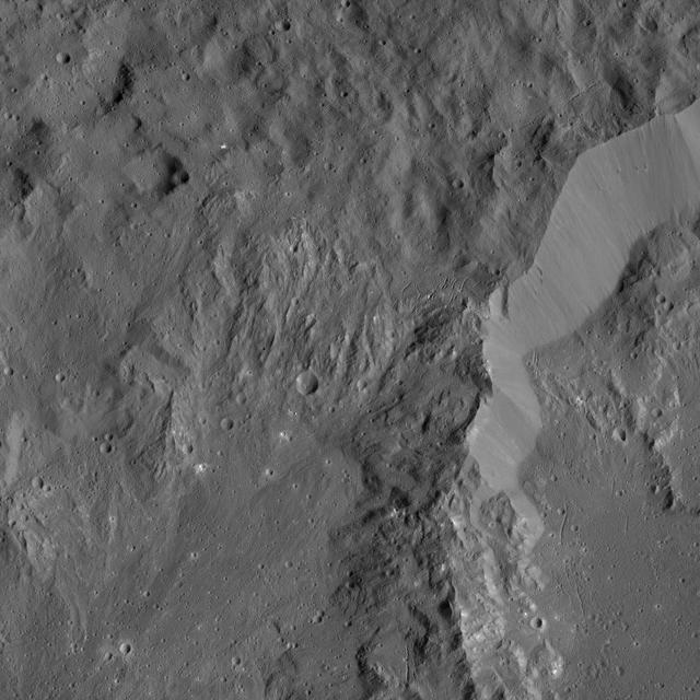 This image shows the rim of Ikapati Crater on Ceres, which lies in the dwarf planet northern hemisphere. Groupings of roughly parallel, narrow, linear fractures can be seen inside and outside the crater.  NASA's Dawn spacecraft took this image on April 18, 2016, from its low-altitude mapping orbit, at a distance of about 240 miles (385 kilometers) above the surface. The image resolution is 120 feet (35 meters) per pixel.   http://photojournal.jpl.nasa.gov/catalog/PIA20819