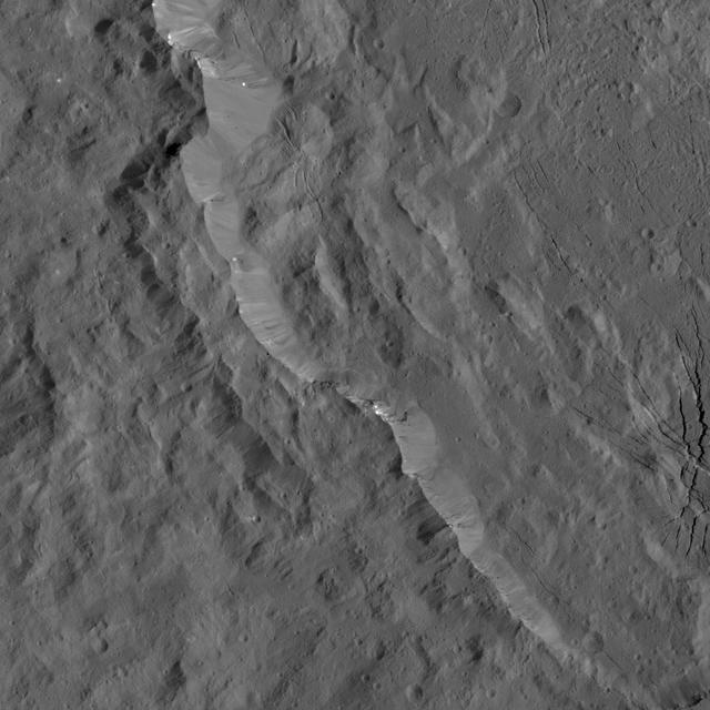 A portion of the rugged rim of Occator Crater is seen in this image from NASA's Dawn spacecraft. Occator, a young crater approximately 80 million years old, is home to the brightest area on Ceres (not pictured here). Bright streaks are visible along some of the crater's walls, along with prominent fractures on the crater floor. Dawn took this image on April 21, 2016, from its low-altitude mapping orbit, at a distance of about 240 miles (385 kilometers) above the surface. The image resolution is 120 feet (35 meters) per pixel. http://photojournal.jpl.nasa.gov/catalog/PIA20823