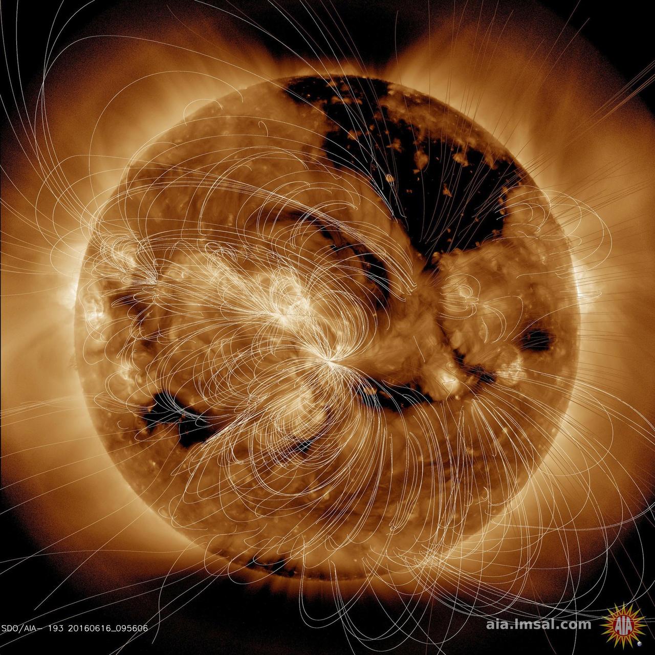 Each day NASA solar scientists produce overlays (in white lines) that show their estimation of how the magnetic field lines above the sun are configured (June16, 2016). In the video clip we show the sun in a wavelength of extreme ultraviolet light, then reveal the magnetic field line configuration in the same wavelength. Notice how the lines are tightly bundled near the lighter-toned active regions, which are magnetically intense regions. The magnetic lines from the darker areas, called coronal holes, open out into space and the extended lines show that. Our magnetically active sun is a dynamic body that changes all the time.  Movie are also available at the Photojournal.  http://photojournal.jpl.nasa.gov/catalog/PIA20881