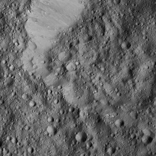 This view from NASA's Dawn spacecraft shows Rongo Crater, located near Ceres' equator. The image is centered at 0 degrees south latitude, 346 degrees east longitude.  Dawn took this image on June 1, 2016, from its low-altitude mapping orbit, at a distance of about 240 miles (385 kilometers) above the surface. The image resolution is 120 feet (35 meters) per pixel.  http://photojournal.jpl.nasa.gov/catalog/PIA20935