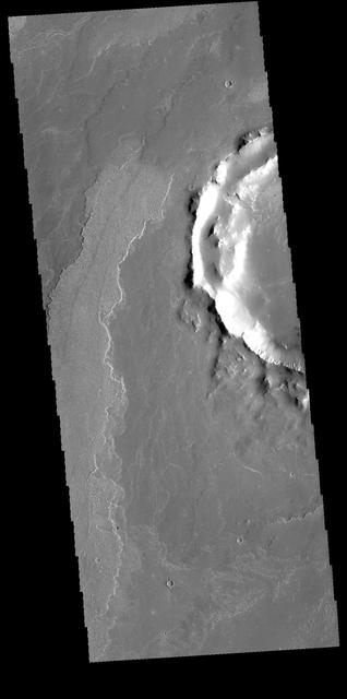 NASA image: Daedalia Planum