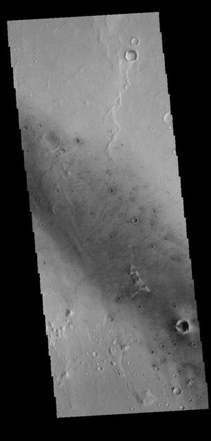 NASA image: Gusev Crater