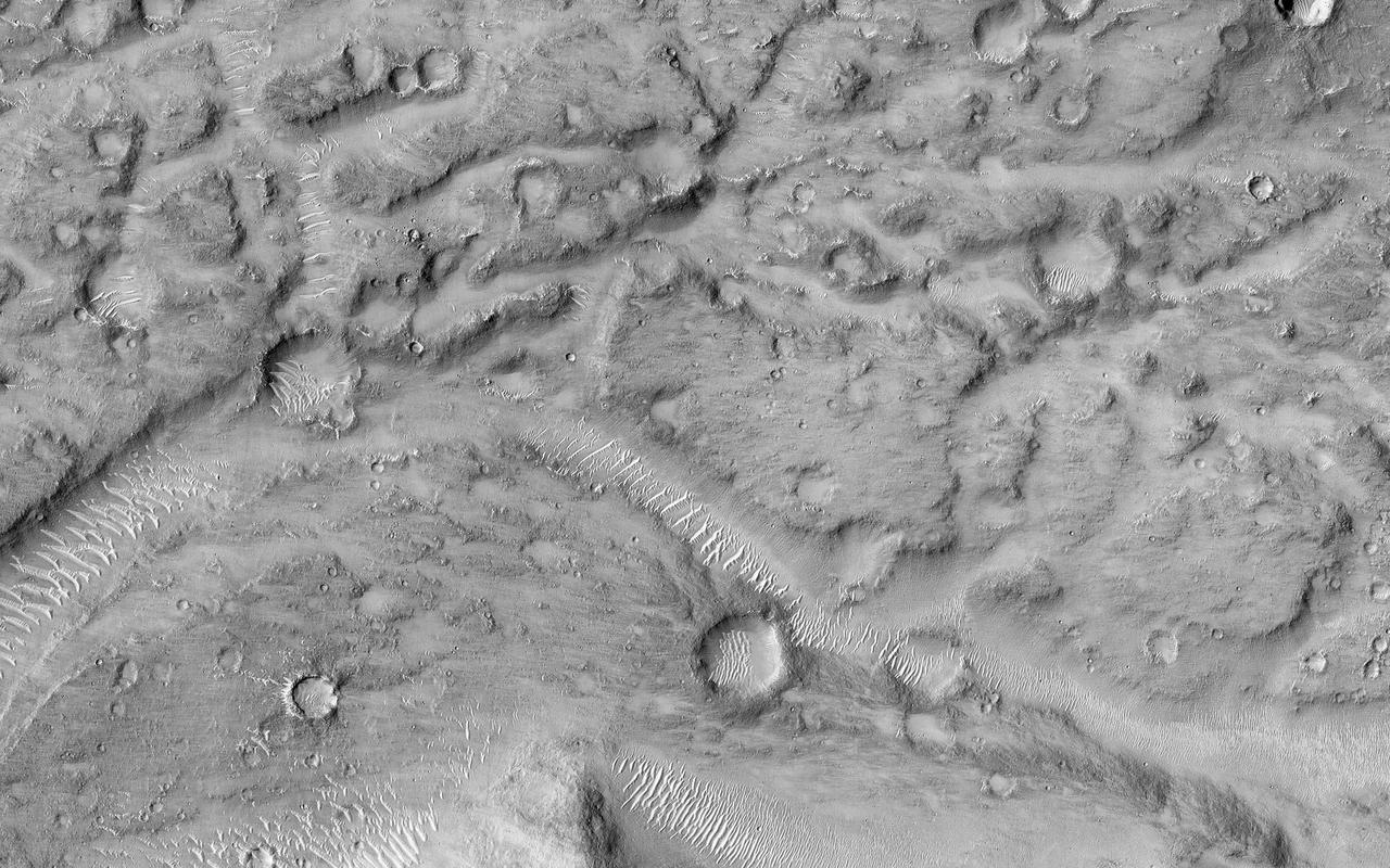 This image shows the northern terminus of an outflow channel located in the volcanic terrains of Amenthes Planum. The channel sources from the Palos impact crater to the south, where water flowed into the crater from Tinto Vallis and eventually formed a paleo lake. As rising lake levels breached through the crater's rim and inundated the plains to the north, the resulting high velocity, large discharge floods plucked out and eroded the volcanic plains scouring out the "Palos Outflow Channel" and the streamlined mesa-islands on its floor. These streamlined forms are the eroded remnants of plains material sculpted by catastrophic floods and are not sediment deposits emplaced by lower magnitude stream flows. Both the fluvial channel floor and the volcanic island surfaces are densely cratered by impacts suggesting that both the surfaces and the flood events are ancient. The morphology (shape) of the channel system and its islands have been preserved through the eons, but water has long been absent from this drainage system. Since then, winds have transported light-toned sediments across this terrain forming extensive dune fields within the channel system, on the floors of impact craters, and in other protected locations in the Palos Outflow Channel region. A closer look shows chevron, or fish-bone shaped, light-toned dunes located near the top of the image where numerous smaller channels have cut through the landscape. These dunes likely started out as Transverse Aeolian Ridges (TAR) that form perpendicular to the prevailing wind direction where the wind-blown sediment supply is scarce. This intriguing morphology likely reflects changes in the prevailing wind environment over time. http://photojournal.jpl.nasa.gov/catalog/PIA21023