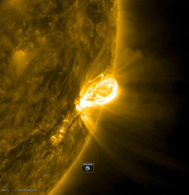 NASA image: Magnetic Field Arches