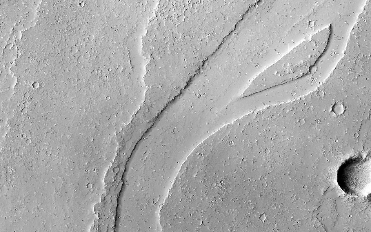 The Tharsis region of Mars is covered in vast lava flows, many with channels. Some channels, however, resemble features that may have been formed by water. In this image, we see a smooth, flat-bottomed channel within the roughly irregular edges of a possible lava flow. This long, winding channel runs for 115 kilometers (70 miles) from its source (shown in ESP_045091_2045), maintaining a nearly consistent width. There is also a streamlined island within the channel, which is 1.25 kilometers (about 3/4 mile) long. One possibility is that a lava flow formed, and later groundwater was released, preferentially flowing through and further eroding the pre-existing lava channel. Or, the original lava flow could have been a very low-viscosity lava. We look at the shape and profile of the channel, and the channel and lava flow edges, to understand the characteristics of the fluids at work. Although there are lava flows and rivers on Earth that we can observe to understand the processes at work, the interplay of the features on Mars may tell a more complicated story. We want to be able to understand the history of volcanic activity in Tharsis, as well as possible interaction with ground water release, to better understand some of the younger landforms on Mars. http://photojournal.jpl.nasa.gov/catalog/PIA21104