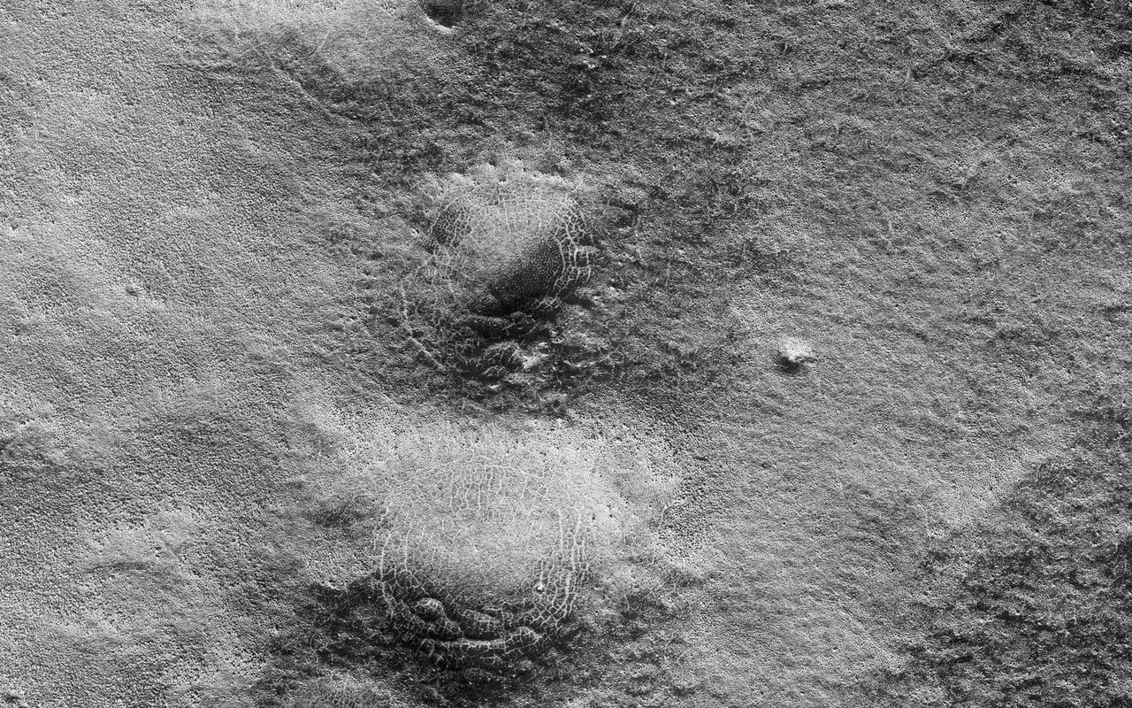 This image shows a lava channel north of Kuiper Crater in the high southern latitudes just before spring equinox. It was a target suggested by members of the public, using our suggestion tool called HiWish.  The channel confluence at the top of the image illustrates interesting volcanic processes that took place long ago. However, it was the mounds on the rim of the channel to the south of the confluence that we initially found alarming. These mounds, up to 400 meters in diameter, are decorated by radial and concentric patterns that resemble spider webs.  Radial and concentric fractures are familiar from forces penetrating a brittle layer, such as a rock thrown through a glass window. These particular fractures were evidently produced by something emerging from below the brittle surface of Mars. It seems likely that ice lenses, resulting from the accumulation of ice beneath the surface, created these peculiar mounds. Ice is less dense than rock, so the buried ice rose and pushed upwards on the surface and generated these spider web-like patterns. An analogous process creates similar sized mounds in arctic tundra on Earth that are known as "pingos," an Inuit word. The Martian fractures in this location are nowadays filled with dust instead of ice, so it is unclear how long ago this activity took place. It seems likely that these pingo-forming periglacial processes took place much more recently than the volcanic activity also evident in this region of Mars.  http://photojournal.jpl.nasa.gov/catalog/PIA21110