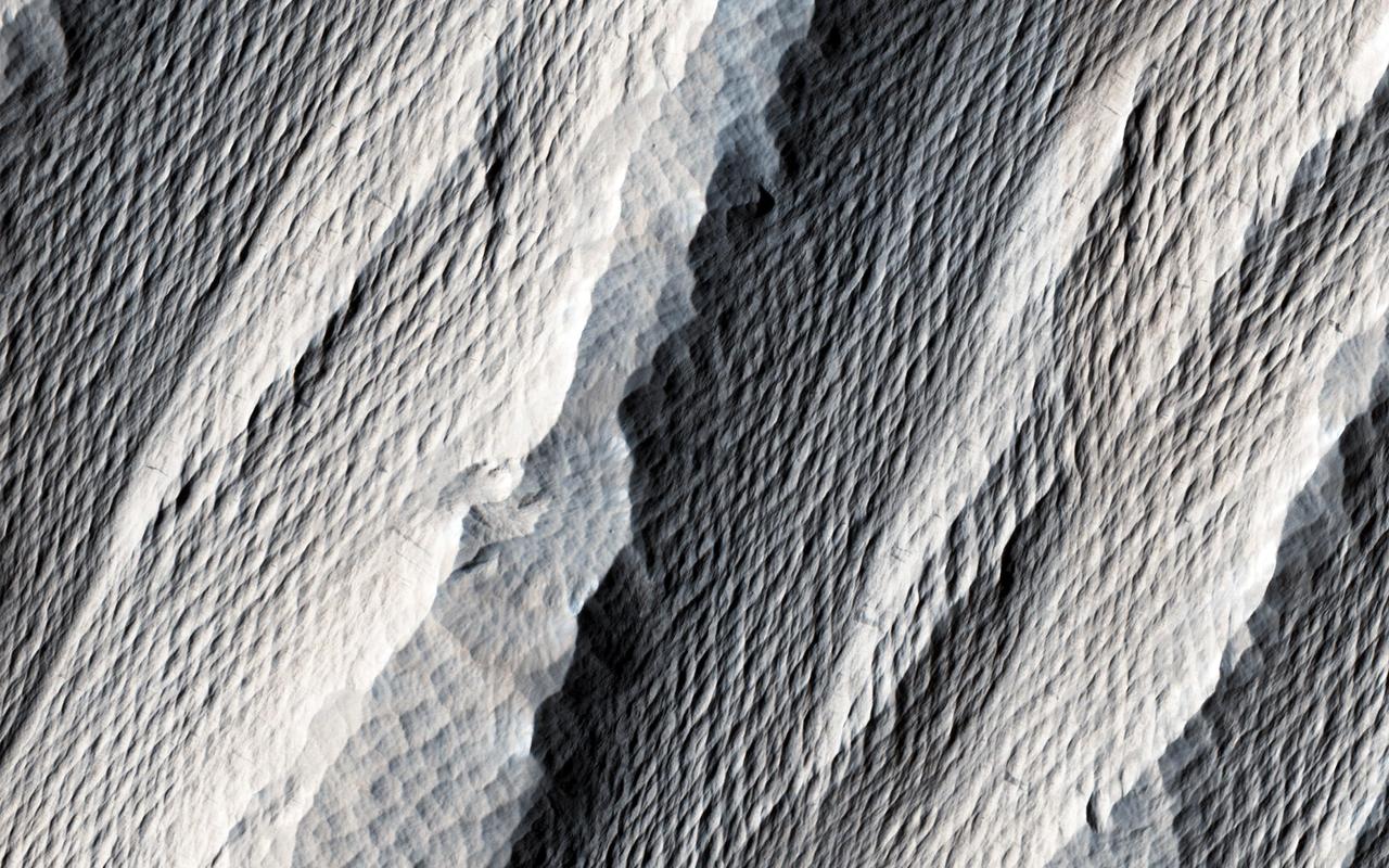 The distinctively fluted surface and elongated hills in this image in Medusae Fossae are caused by wind erosion of a soft fine-grained rock. Called yardangs, these features are aligned with the prevailing wind direction. This wind direction would have dominated for a very long time to carve these large-scale features into the exposed rock we see today. Yardangs not only reveal the strength and direction of historic winds, but also reveal something of the host rock itself. Close inspection by HiRISE shows an absence of boulders or rubble, especially along steep yardang cliffs and buttresses. The absence of rubble and the scale of the yardangs tells us that the host rock consists only of weakly cemented fine granules in tens of meters or more thick deposits. Such deposits could have come from extended settling of volcanic ash, atmospheric dust, or accumulations of wind deposited fine sands. After a time these deposits became cemented and cohesive, illustrated by the high standing relief and exposed cliffs. http://photojournal.jpl.nasa.gov/catalog/PIA21111