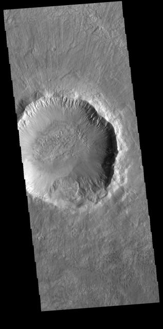 NASA image: Palikir Crater