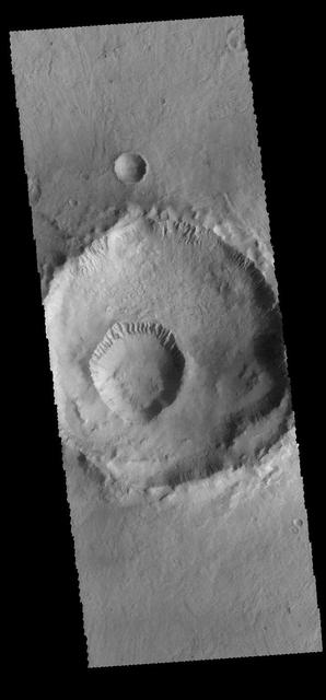 The smaller crater within the larger crater is called Gasa Crater (the larger crater is unnamed). Gullies dissect the inner rims of both craters. Orbit Number: 65538 Latitude: -35.6842 Longitude: 129.44 Instrument: VIS Captured: 2016-09-22 06:02 http://photojournal.jpl.nasa.gov/catalog/PIA21158