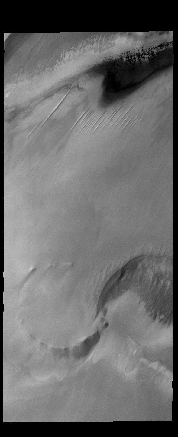 North Polar Cap