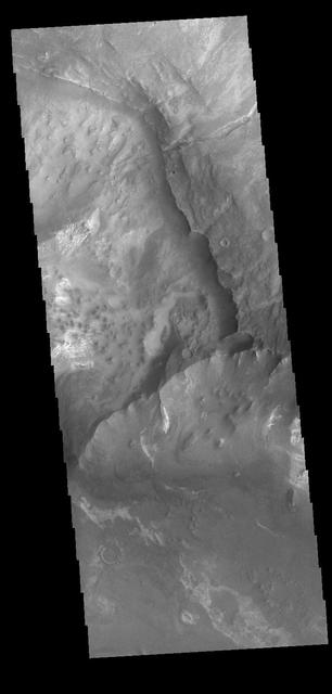 NASA image: Melas Chasma
