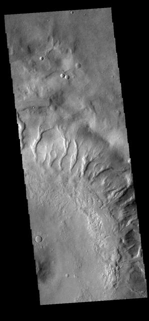 Crater Gullies