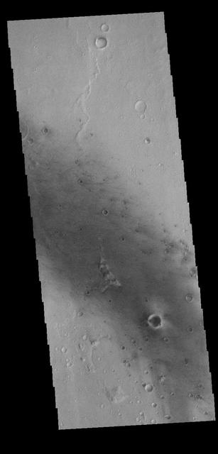 This image captured by NASA 2001 Mars Odyssey spacecraft shows some of the numerous dark linear streaks on the floor of Gusev Crater. These streaks are formed by wind action. The dark streaks are where dust devils have removed the surface dust, revealing the darker rock beneath. Gusev Crater is the home of the MER Spirit lander. Orbit Number: 65898 Latitude: -14.5 Longitude: 175.545 Instrument: VIS Captured: 2016-10-21 21:54 http://photojournal.jpl.nasa.gov/catalog/PIA21187