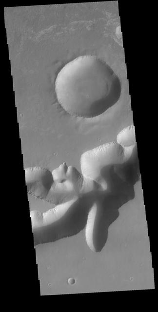 NASA image: Mega-Gully