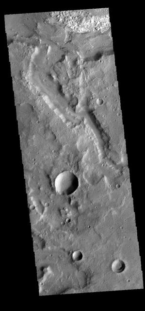 NASA image: Terra Sirenum Channel