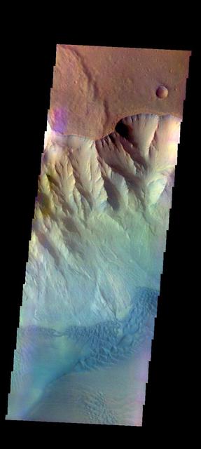 The THEMIS VIS camera contains 5 filters. The data from different filters can be combined in multiple ways to create a false color image. These false color images may reveal subtle variations of the surface not easily identified in a single band image. Today's false color image shows part of Juventae Chasma, including sand dunes on the floor of the chasma. Orbit Number: 48863 Latitude: -4.23406 Longitude: 297.286 Instrument: VIS Captured: 2012-12-19 10:35 http://photojournal.jpl.nasa.gov/catalog/PIA21199
