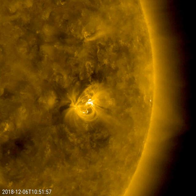 NASA image: Solar Active Region's Cameo Appearance