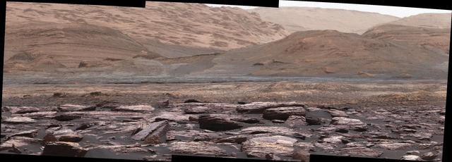 The foreground of this scene from the Mast Camera (Mastcam) on NASA's Curiosity Mars rover shows purple-hued rocks near the rover's late-2016 location on lower Mount Sharp. The scene's middle distance includes higher layers that are future destinations for the mission.  Variations in color of the rocks hint at the diversity of their composition on lower Mount Sharp. The purple tone of the foreground rocks has been seen in other rocks where Curiosity's Chemical and Mineralogy (CheMin) instrument has detected hematite. Winds and windblown sand in this part of Curiosity's traverse and in this season tend to keep rocks relatively free of dust, which otherwise can cloak rocks' color.  The three frames combined into this mosaic were acquired by the Mastcam's right-eye camera on Nov. 10, 2016, during the 1,516th Martian day, or sol, of Curiosity's work on Mars. The scene is presented with a color adjustment that approximates white balancing, to resemble how the rocks and sand would appear under daytime lighting conditions on Earth. Sunlight on Mars is tinged by the dusty atmosphere and this adjustment helps geologists recognize color patterns they are familiar with on Earth.  The view spans about 15 compass degrees, with the left edge toward southeast. The rover's planned direction of travel from its location when this scene was recorded is generally southeastward.  The orange-looking rocks just above the purplish foreground ones are in the upper portion of the Murray formation, which is the basal section of Mount Sharp, extending up to a ridge-forming layer called the Hematite Unit. Beyond that is the Clay Unit, which is relatively flat and hard to see from this viewpoint. The next rounded hills are the Sulfate Unit, Curiosity's highest planned destination. The most distant slopes in the scene are higher levels of Mount Sharp, beyond where Curiosity will drive.  Figure 1 is a version of the same scene with annotations added as reference points for distance, size and relative elevation. The annotations are triangles with text telling the distance (in kilometers) to the point in the image marked by the triangle, the point's elevation (in meters) relative to the rover's location, and the size (in meters) of an object as big as the triangle at that distance.  An annotated figure is available at http://photojournal.jpl.nasa.gov/catalog/PIA21256