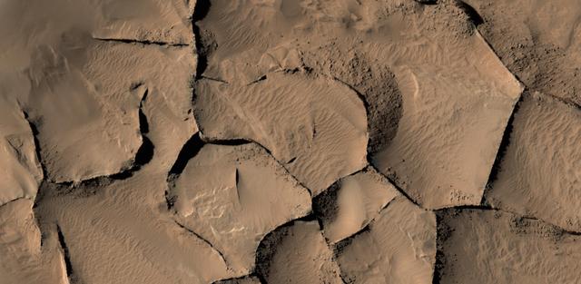 This view shows part of an area on Mars where narrow rock ridges, some as tall as a 16-story building, intersect at angles forming corners of polygons. The area covered in the image spans about two-thirds of a mile (1.1 kilometers) wide, in the Gordii Dorsum portion of the Medusae Fossae region of Mars. The image is from the High Resolution Imaging Science Experiment (HiRISE) camera on the Mars Reconnaissance Orbiter. North is up. Note the shadows cast by some of the walls. These ridges likely formed as lava that hardened underground and later resisted erosion better than the surrounding material. From ground level, they would resemble hardened-lava walls on Earth http://photojournal.jpl.nasa.gov/catalog/PIA21264