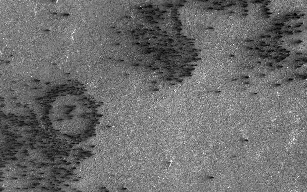Gas under pressure will choose an easy escape route. In this image, the terrain is covered with a seasonal layer of dry ice.  The weak spots, for gas sublimating from the bottom of the seasonal ice layer to escape, appear to be around craters, where the surface was broken and pulverized by an impact. Fans of surface material deposited on top of the seasonal ice layer show where the escape vents are.  http://photojournal.jpl.nasa.gov/catalog/PIA21271